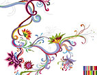 development image