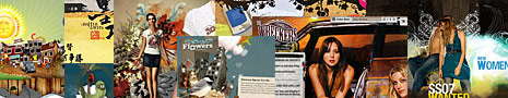 artistic Flash sites