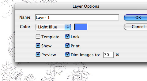layer option