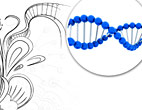 DNA Helix