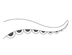Tentacle in abstract form