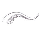 Tentacle