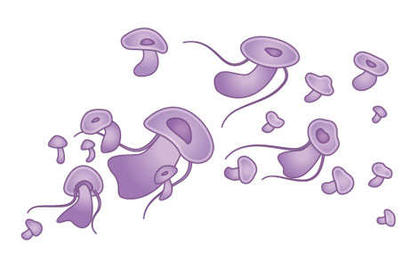 flying mushrooms