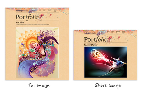 portfolio