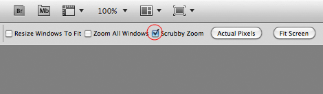 sccrubby zoom